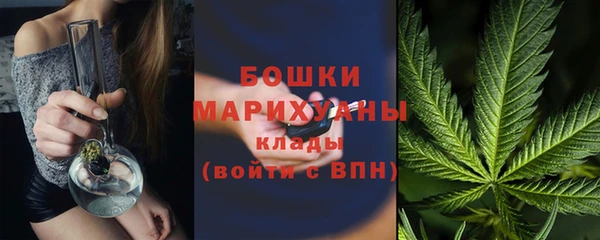 крисы Переславль-Залесский