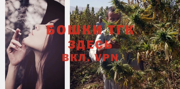 дурь Пестово