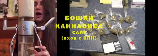 дурь Пестово