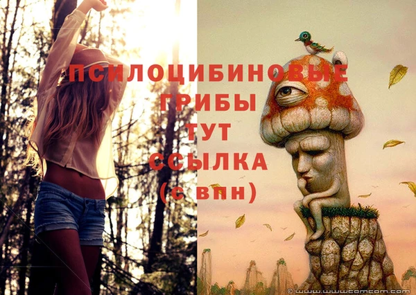 молекула духа Покачи