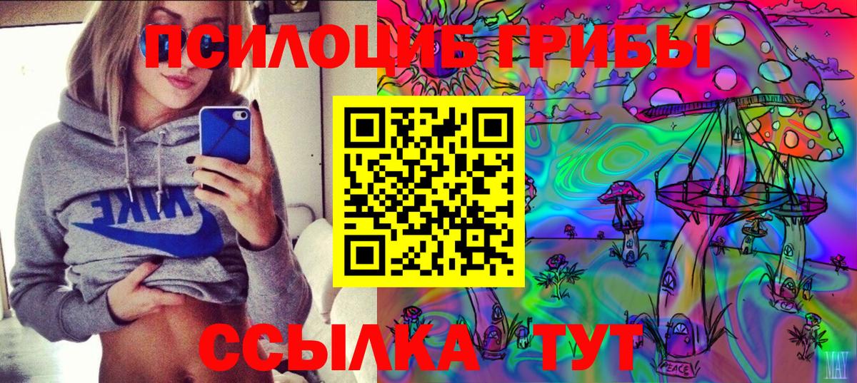 Псилоцибиновые грибы GOLDEN TEACHER Амурск
