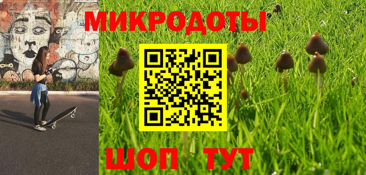 Галлюциногенные грибы GOLDEN TEACHER  Амурск 