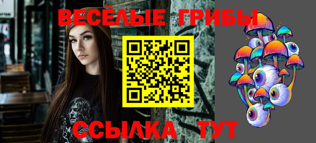 Псилоцибиновые грибы Psilocybine cubensis Амурск